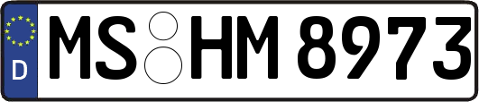 MS-HM8973