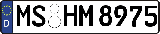 MS-HM8975
