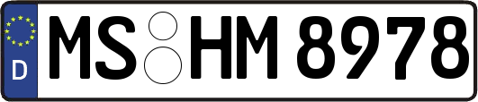 MS-HM8978