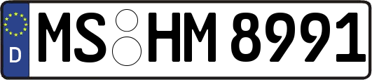 MS-HM8991