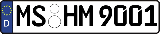 MS-HM9001
