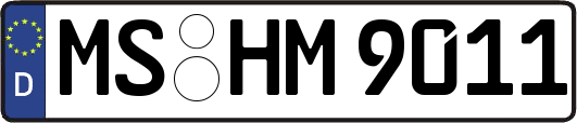 MS-HM9011
