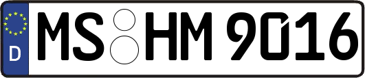 MS-HM9016