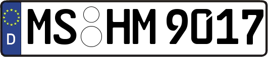 MS-HM9017