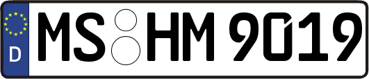 MS-HM9019