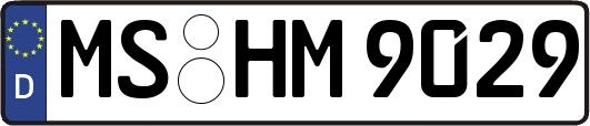 MS-HM9029