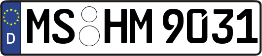 MS-HM9031