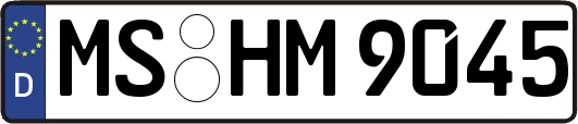 MS-HM9045