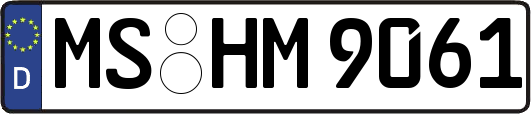 MS-HM9061