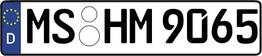 MS-HM9065