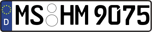 MS-HM9075