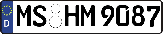 MS-HM9087