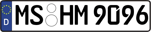 MS-HM9096