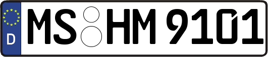 MS-HM9101