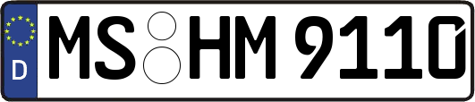 MS-HM9110