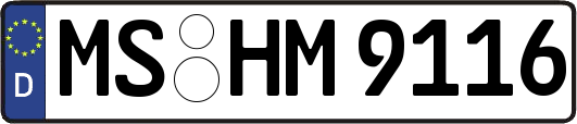 MS-HM9116