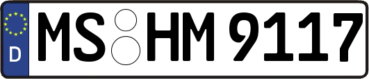 MS-HM9117