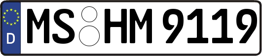 MS-HM9119