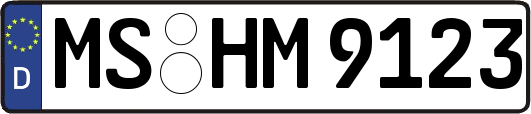 MS-HM9123