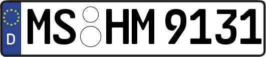 MS-HM9131