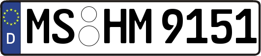 MS-HM9151