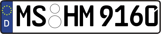 MS-HM9160