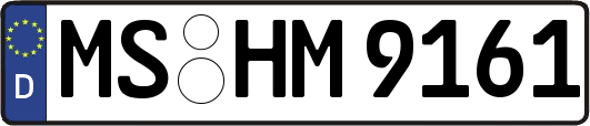 MS-HM9161