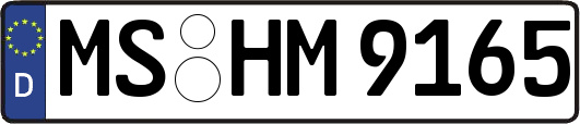 MS-HM9165