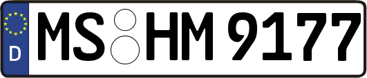 MS-HM9177
