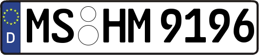 MS-HM9196