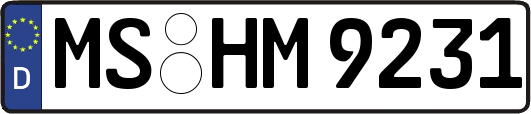 MS-HM9231