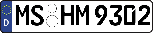 MS-HM9302