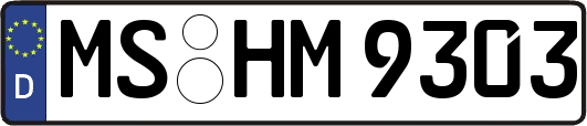 MS-HM9303