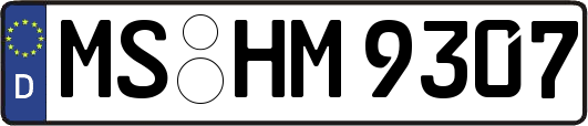 MS-HM9307