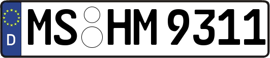 MS-HM9311