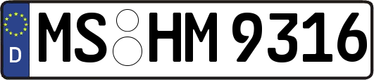 MS-HM9316
