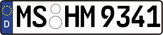 MS-HM9341