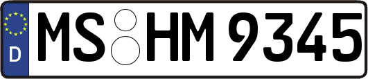 MS-HM9345