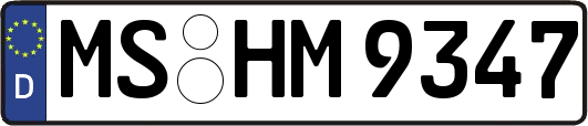 MS-HM9347