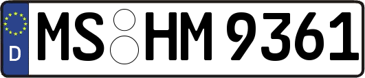 MS-HM9361