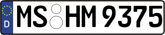 MS-HM9375