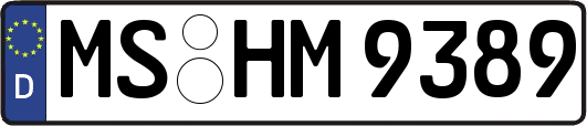MS-HM9389