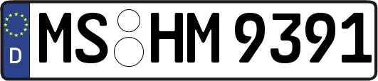 MS-HM9391