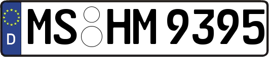 MS-HM9395