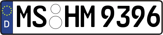 MS-HM9396