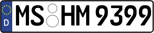 MS-HM9399