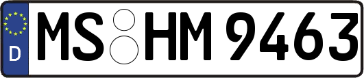 MS-HM9463