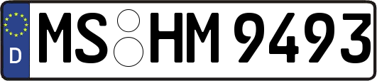 MS-HM9493