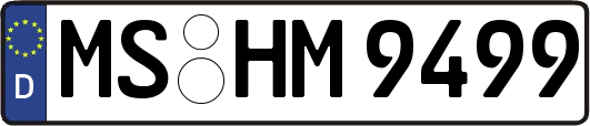 MS-HM9499
