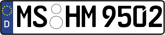 MS-HM9502